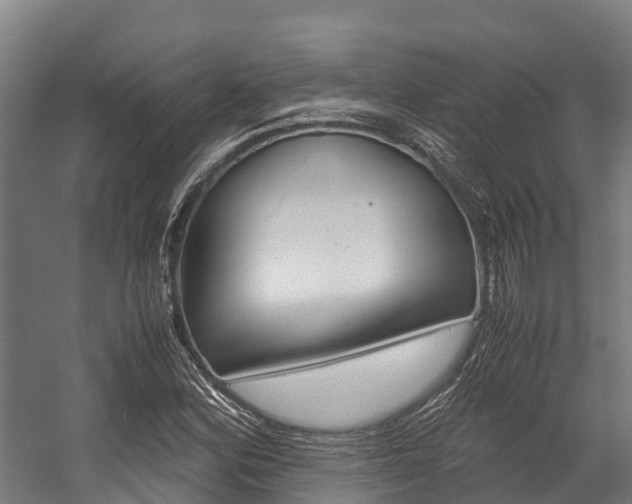 X0000058111164200509230812