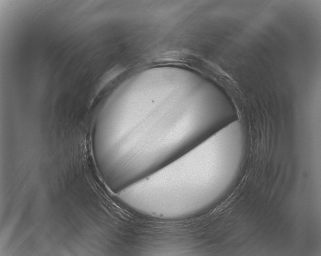 X0000058111166200509230812