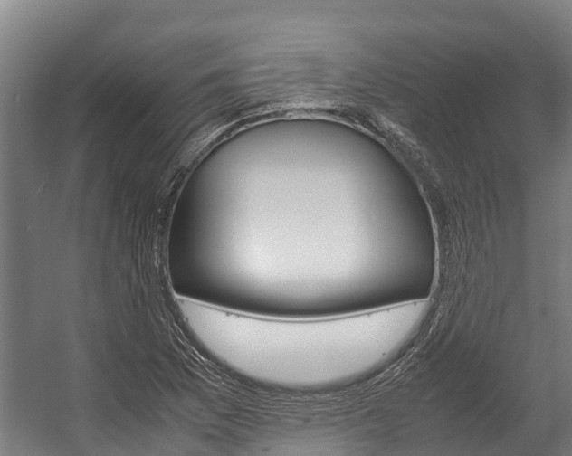 X0000058111169200509230812