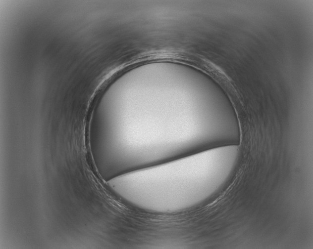 X0000058111174200509230812