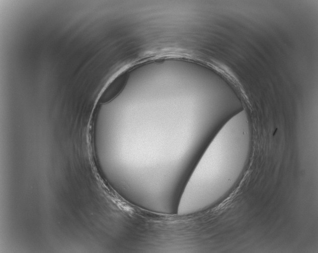 X0000058111190200509230812