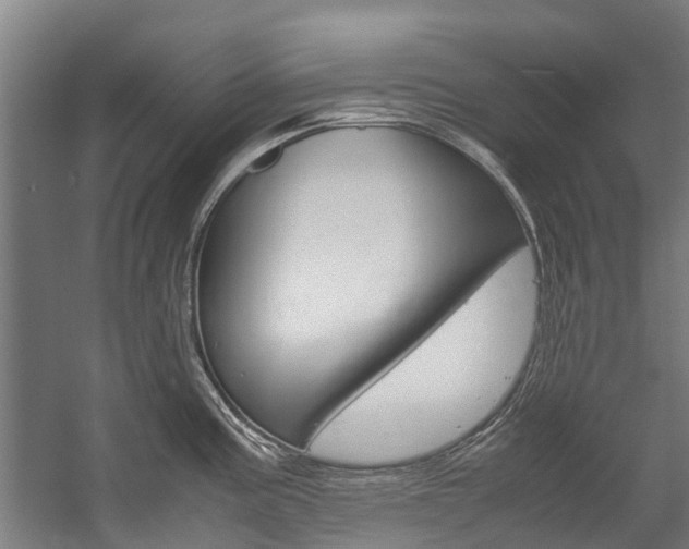 X0000058111195200509230812