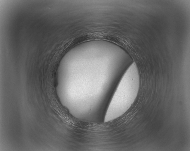 X0000058111201200509230811