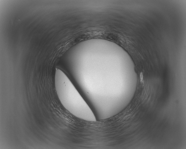 X0000058111203200509230811