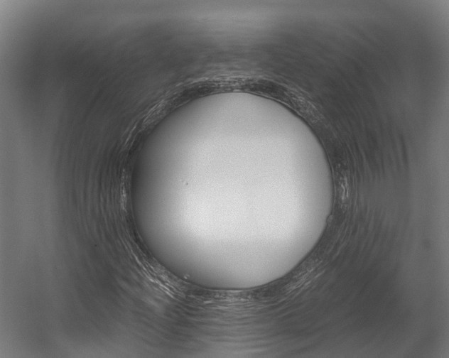 X0000058111204200509230811