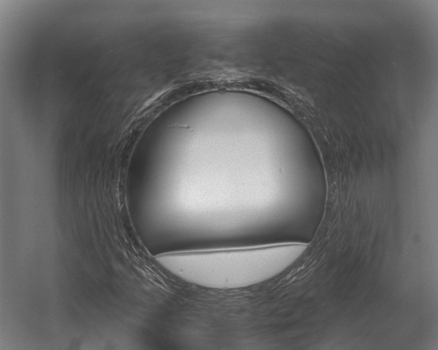 X0000058111205200509230811