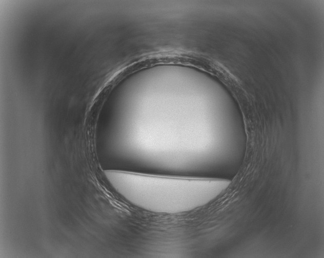 X0000058111208200509230811