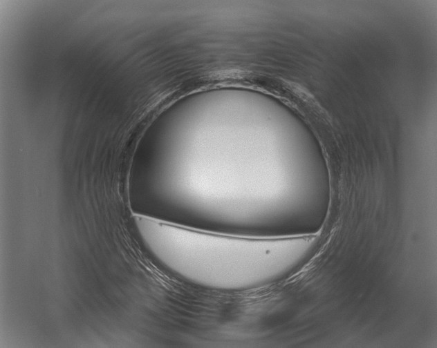 X0000058111209200509230811