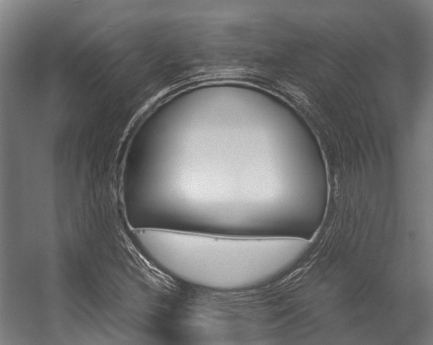 X0000058111212200509230811