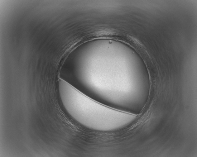 X0000058111217200509230811