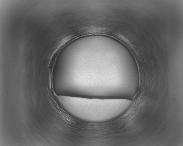 X0000058111219200509230811
