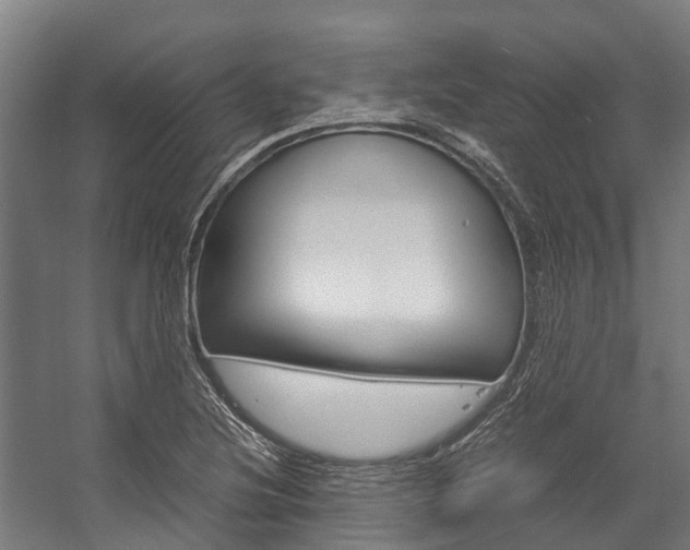 X0000058111220200509230811
