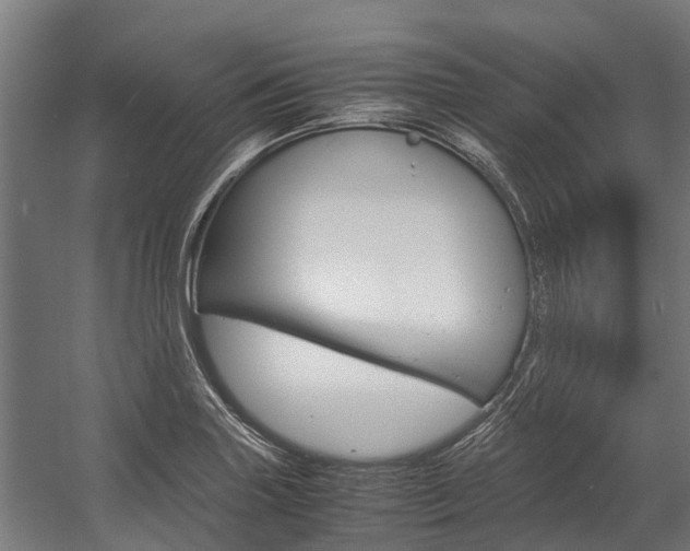 X0000058111227200509230811