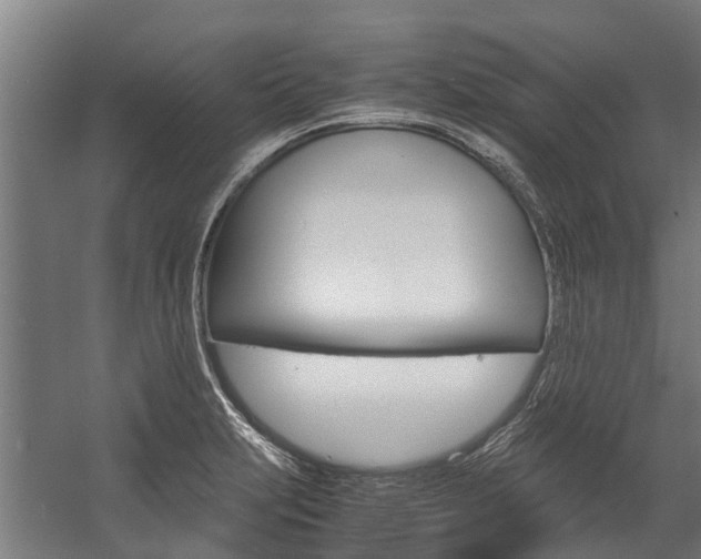 X0000058111231200509230811