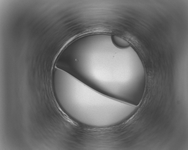 X0000058111236200509230812