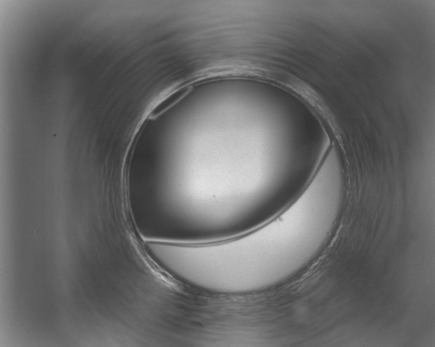 X0000058111242200509230812