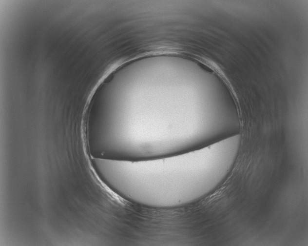 X0000058111243200509230812