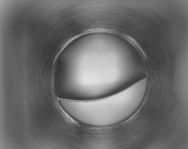 X0000058111244200509230812