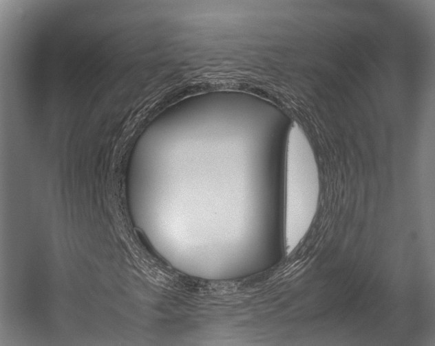 X0000058111249200509230811