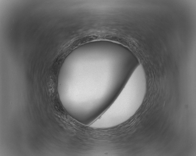 X0000058111253200509230811