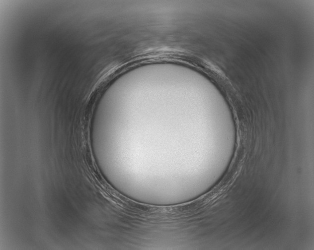 X0000058111259200509230811