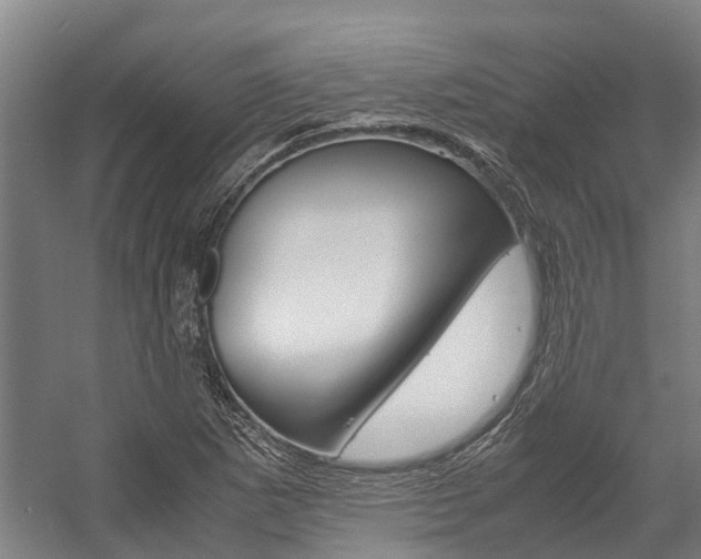 X0000058111265200509230811