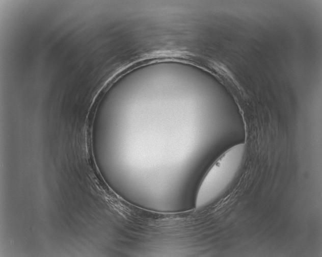 X0000058111268200509230811