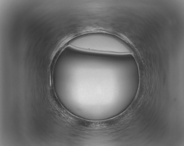 X0000058111269200509230811