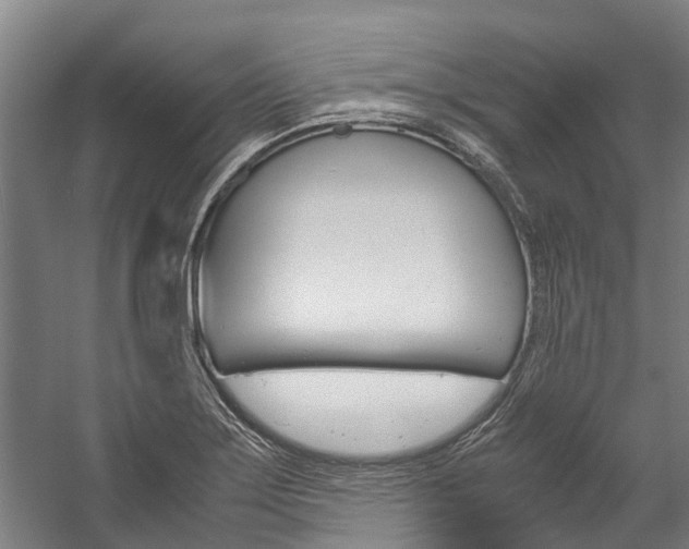 X0000058111275200509230811