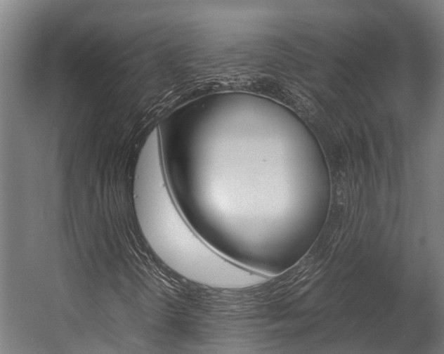 X0000058111298200509230809