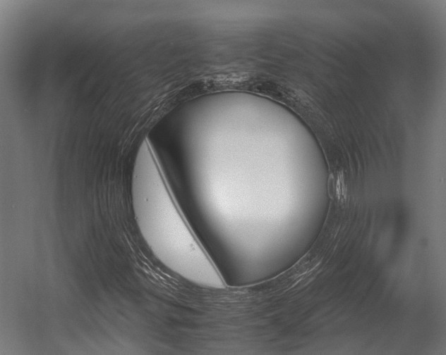 X0000058111299200509230809