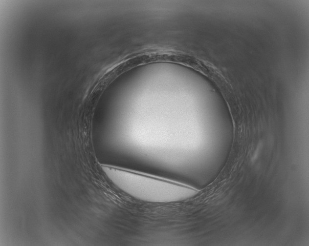 X0000058111303200509230809