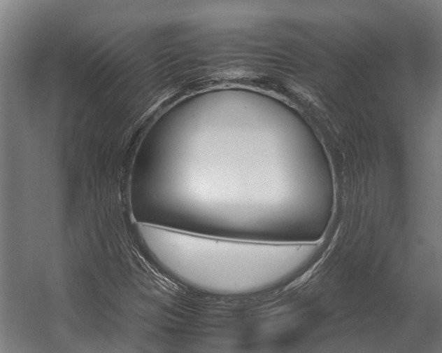 X0000058111305200509230809