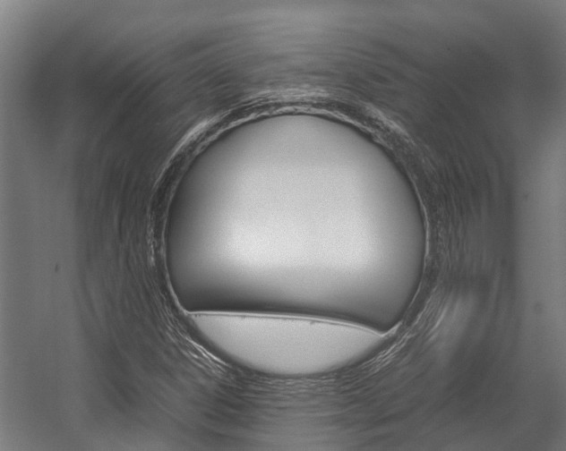 X0000058111306200509230810