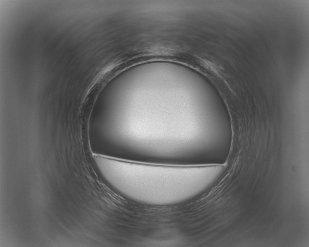 X0000058111307200509230810