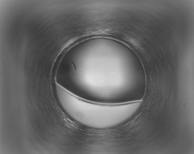 X0000058111308200509230810