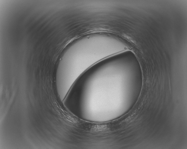 X0000058111313200509230810