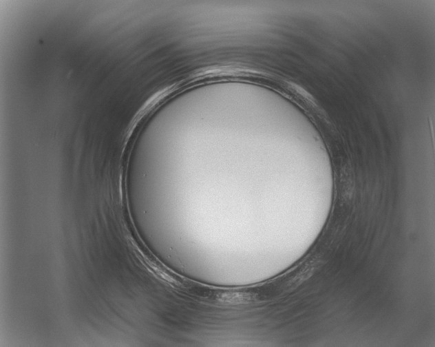 X0000058111322200509230810