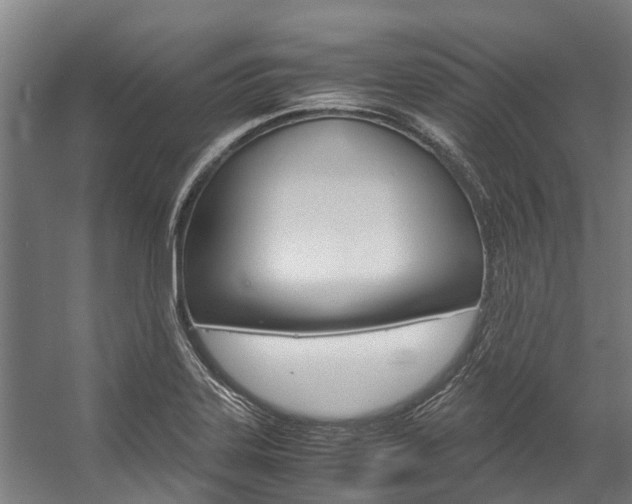 X0000058111323200509230810
