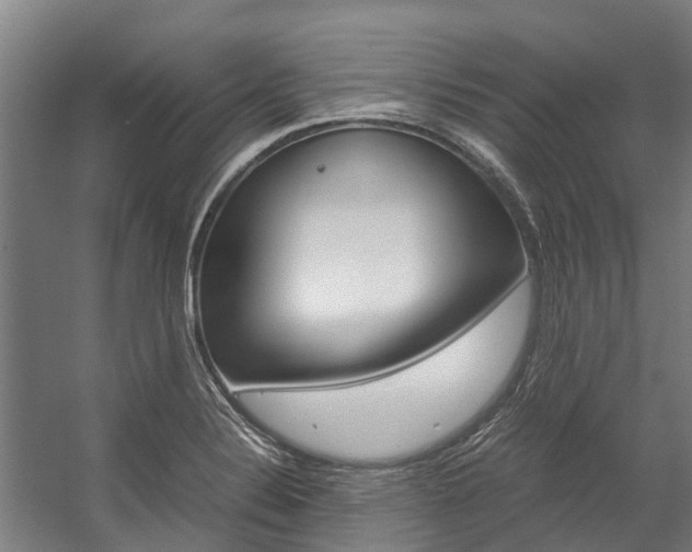 X0000058111324200509230810