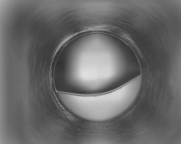 X0000058111328200509230810