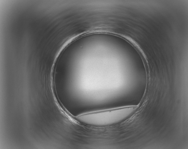 X0000058111341200509230810
