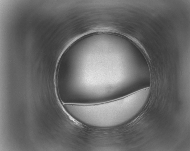 X0000058111343200509230810