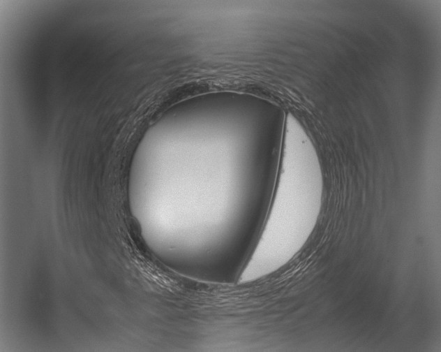 X0000058111345200509230809