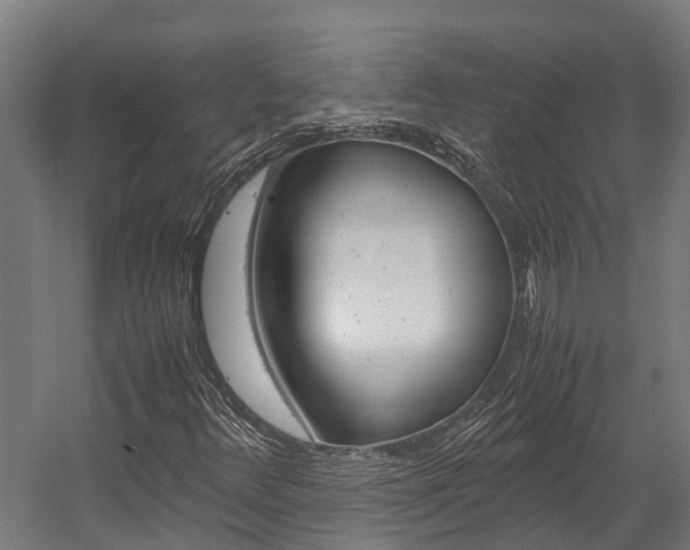 X0000058111348200509230809