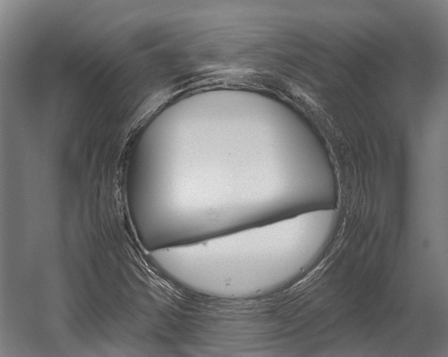 X0000058111354200509230809