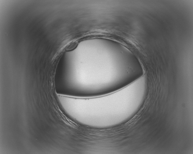 X0000058111355200509230809