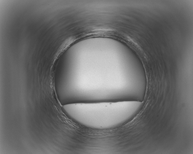 X0000058111362200509230809