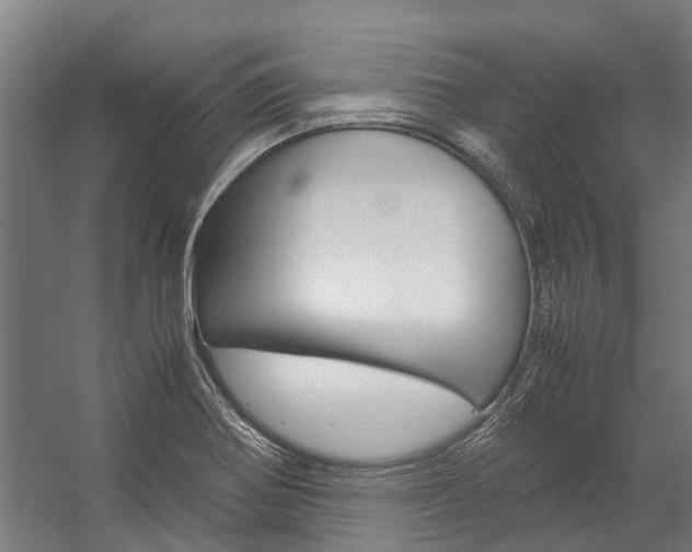 X0000058111370200509230809