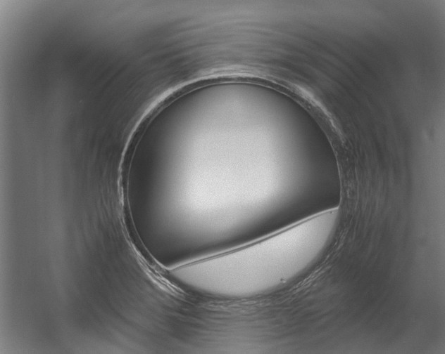 X0000058111372200509230809